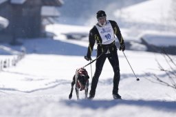 Lenk 2013